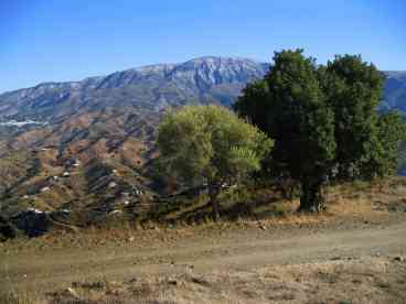 Surrounding Countryside