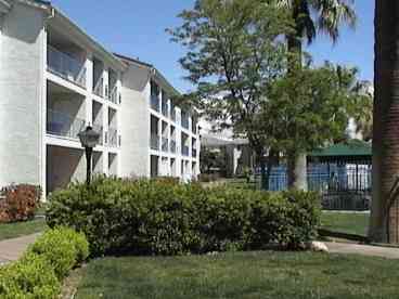 Shot of Las Palmas Resort showing walking area