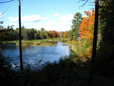 Abbot Cabin Rental