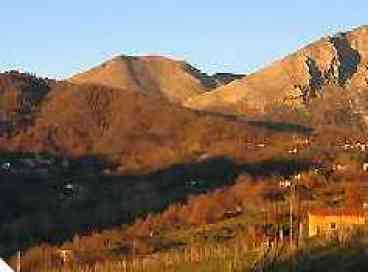 view from the garden