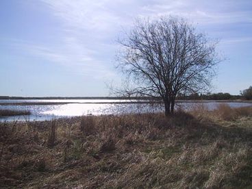 Alberta Beach Gone Fish Inn Vacation Cabin Rental Resort
