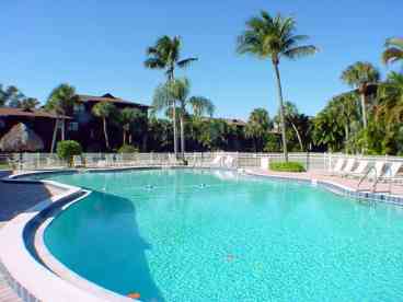 Fabulous, heated, free form swimming pool with easy stairs at the shallow end for kids to play. Lots of lounge chairs and shady areas too!