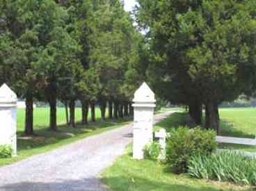 Tree lined driveway entrance