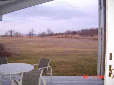  Lovely view from the house of the fields and bay beyond--much greener in the summer.     