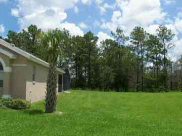 Veiw of garden overlooking conservation area