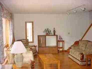 Bright Sun Filled Living Room