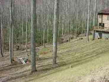 Acres Of Private Land For The Kids