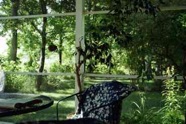 Screened Porch View