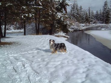 Winter at Lucy\\\'s Riverfront