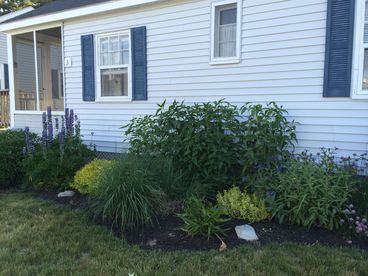 Plantings around Cottage Three