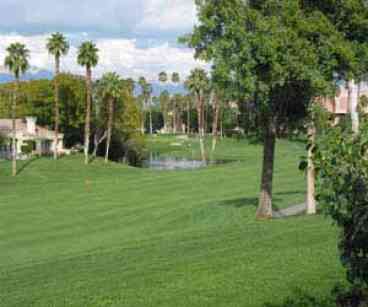 Your View from Patios
