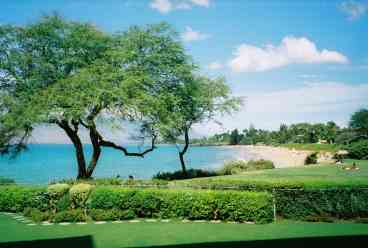 View of Kamaole 1 Beach from your condo.