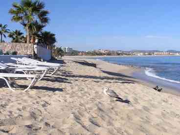 View of Beach in Front of Las Olas
