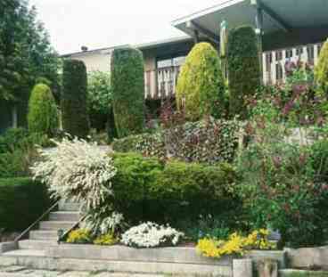 Yard