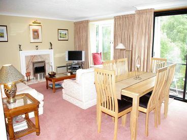 Living/dining room
