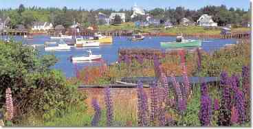 Black Duck Inn on Corea Harbor