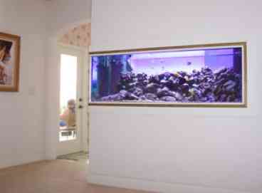 Aquarium