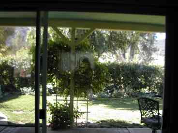 looking out of the sliding glass door to private yard
