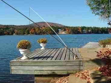 Boat and Swimming Docks