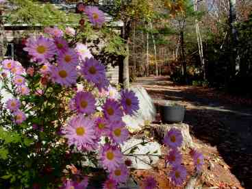 Driveway Entrance