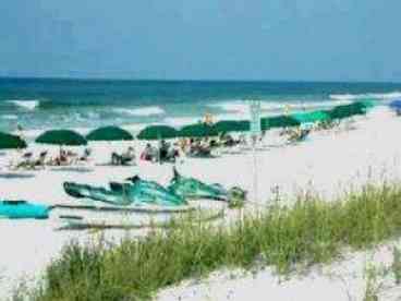 Enjoy Our Beach!