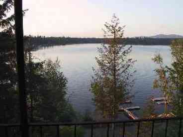 View Honeysuckle on Hayden Lake