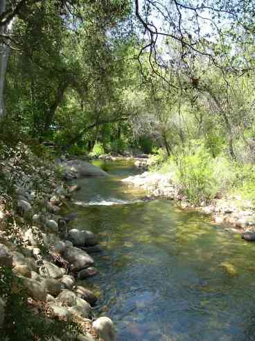 View South Fork River House