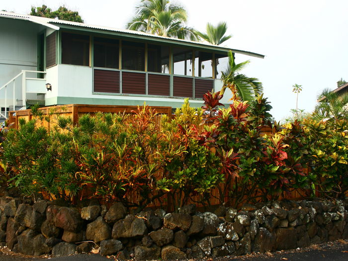 View The Hula Hut