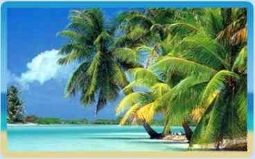 View Private Villa at The Reef