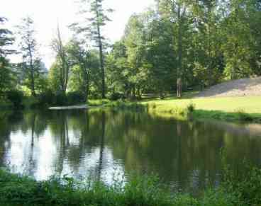 View 4000 SF 6BR4BA Private Lake