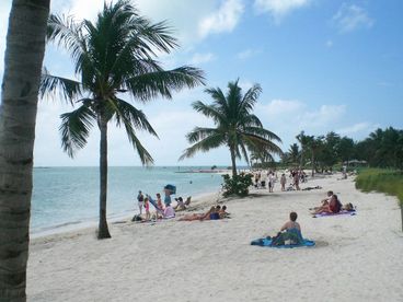 View Atlantic Breezes Vacation Homes