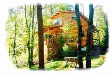 View Forest Cabins