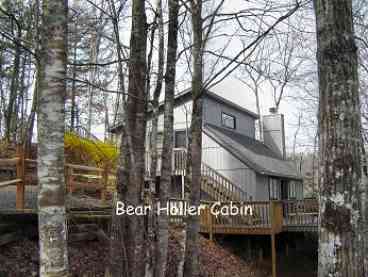 View Bear Holler High in the Tree