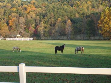 View T Lea Farm