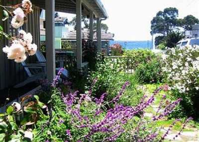 View Beach View Porch Swing Home