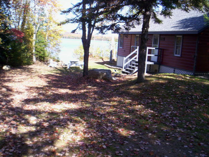 Lincoln, Maine Nesting Loon Cabins