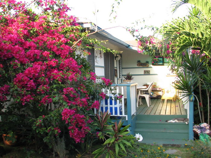 View Cottage by the Sea