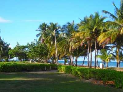 View Playas del Yunque