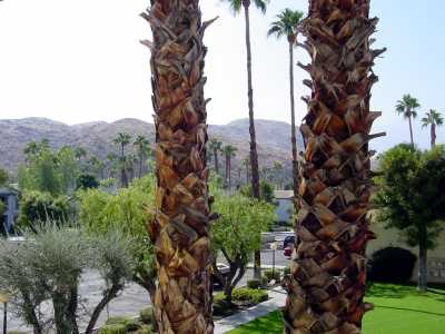 View Palm Springs Golf  Tennis Studio