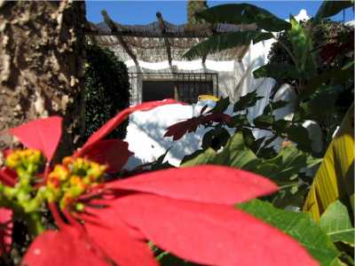 View AKT2  Apartments in Nerja  Tropicana