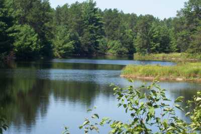 View Cottages At Serenity Lake