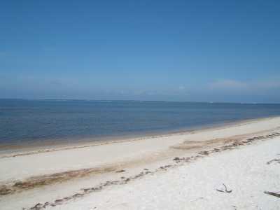 View St Joe Beach Bungalow