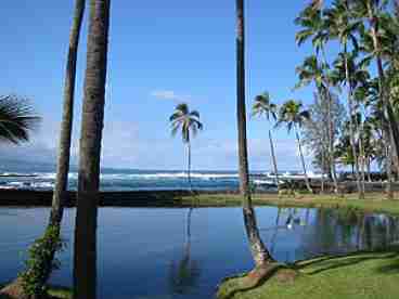 View Surfrider Beach Front House In