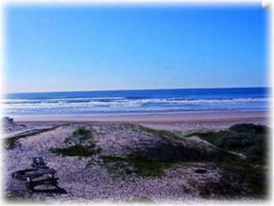 View Sanddollar