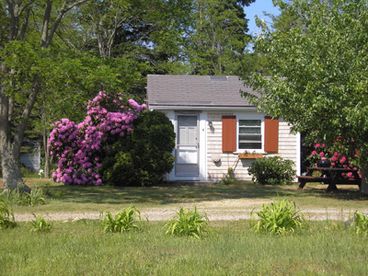 View Cape Cranberry Cottage  Studio