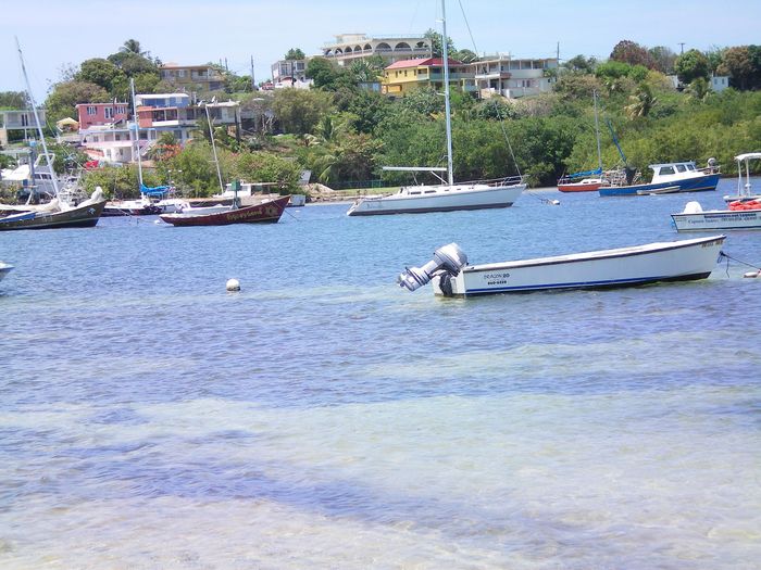 View Tropical Beach Naguabo Puerto