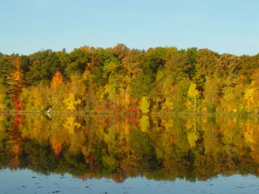 View Minnesota Lake Home with Spectacular