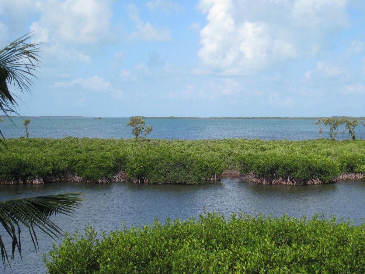 View LANDINGS OF LARGO Waterfront