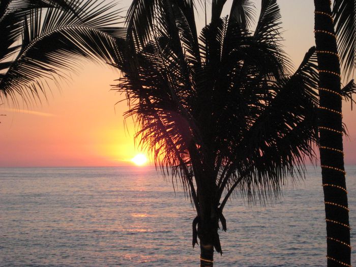 View BEACH FRONT CONDO on Los Muertos