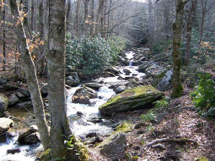 Burnsville, North Carolina Cattail Cabin